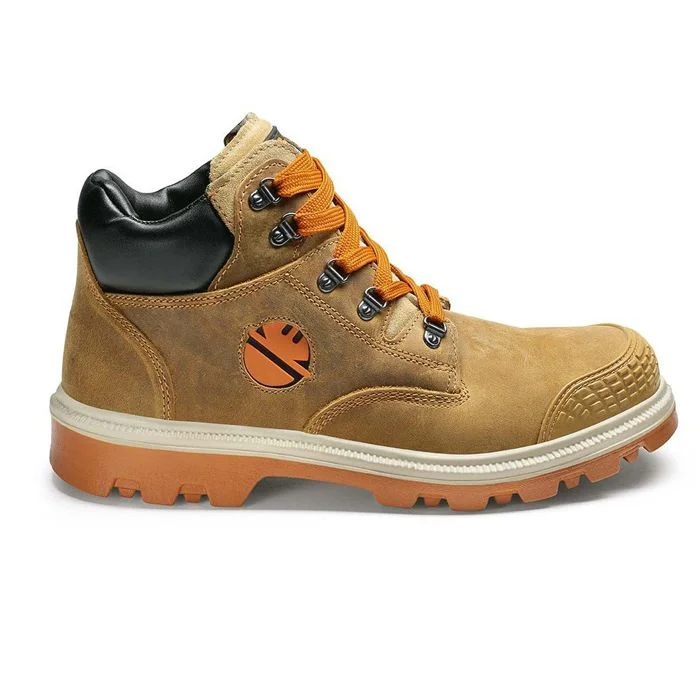 2026_06_12_358482